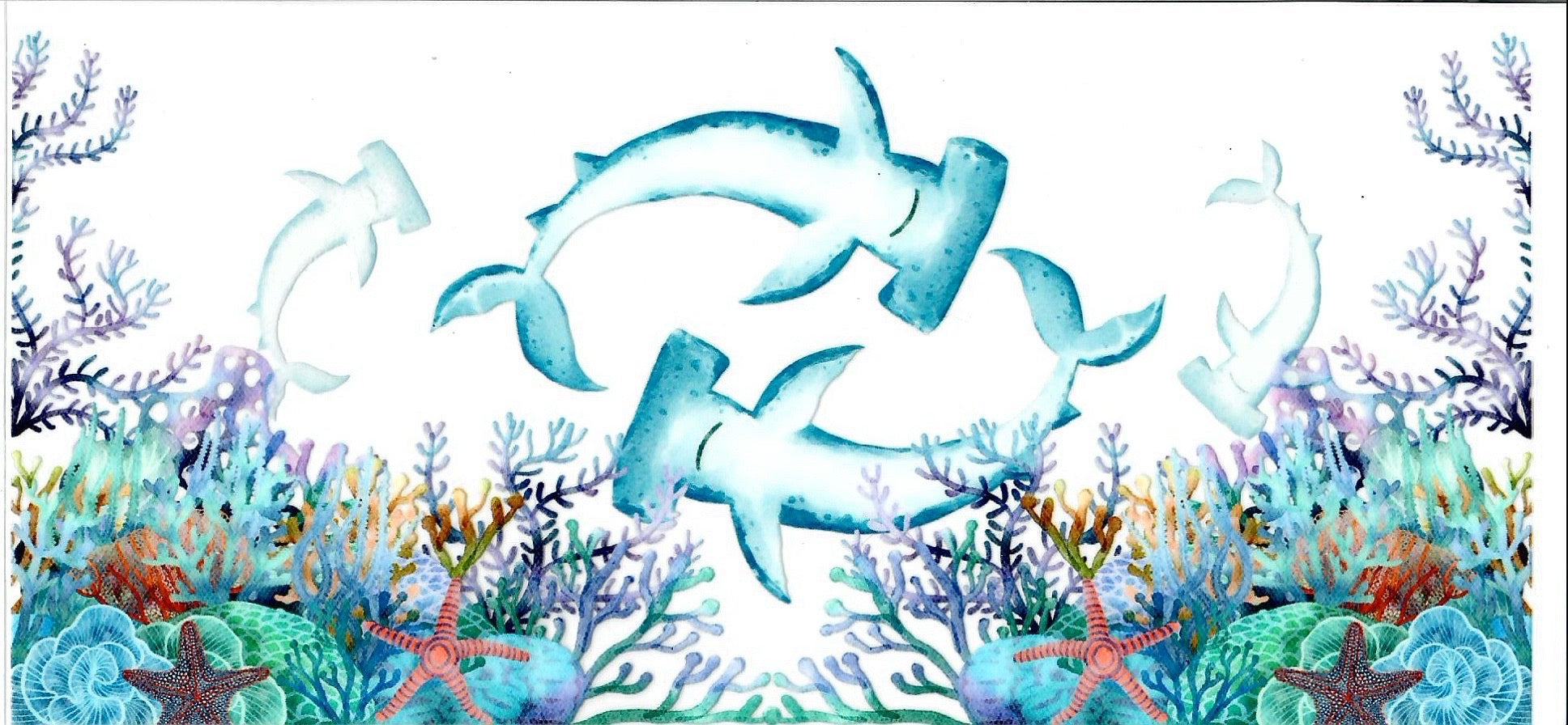 Ocean Sharks