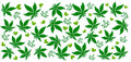 420 flower