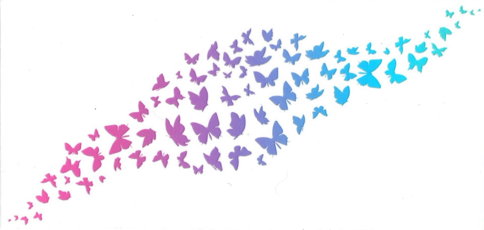 Butterflies