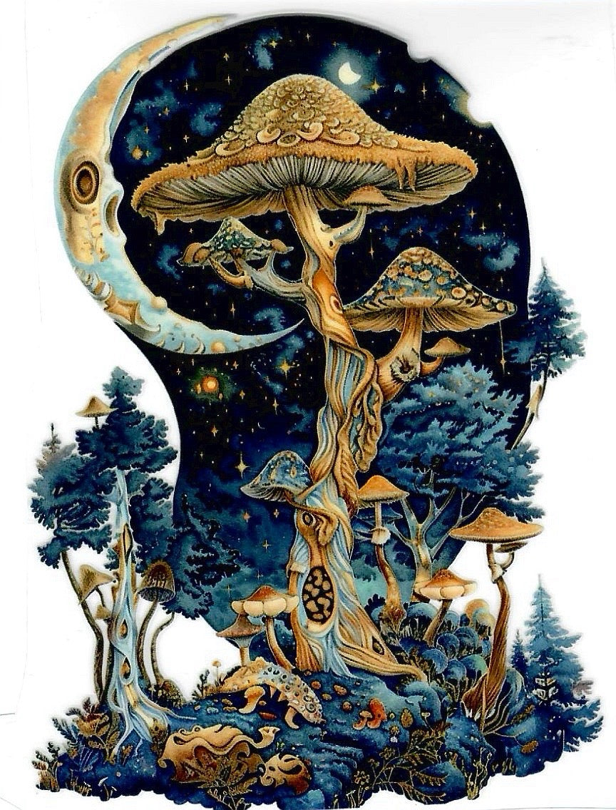 Moon mushrooms