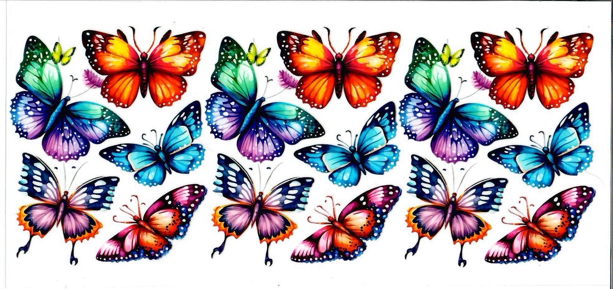 Butterflies