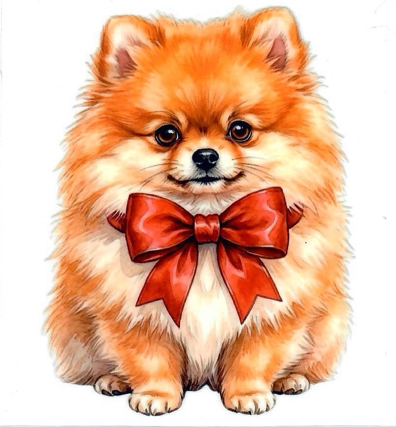 Animal