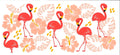 Flamingos