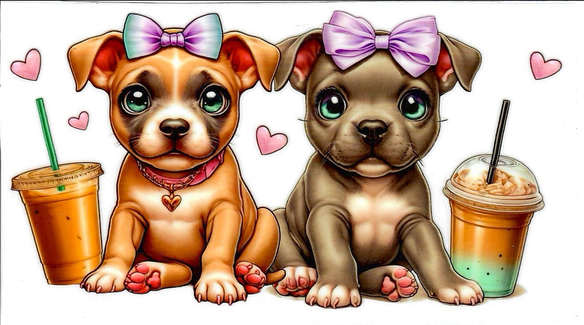 Dog | Pit Bull | American Bully dog