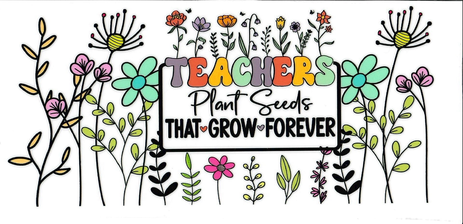 School Teacher