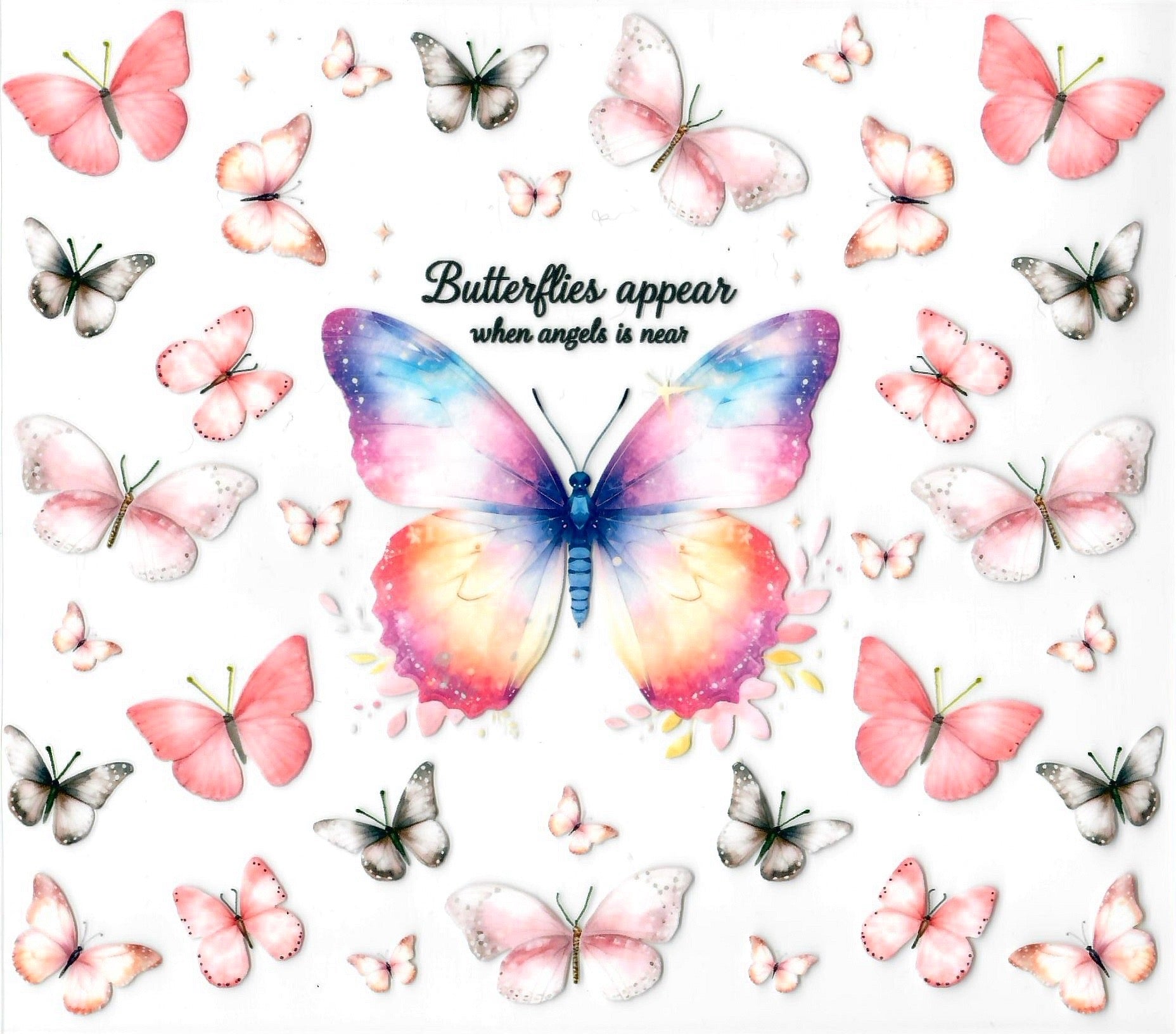 Butterflies