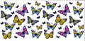 Butterflies