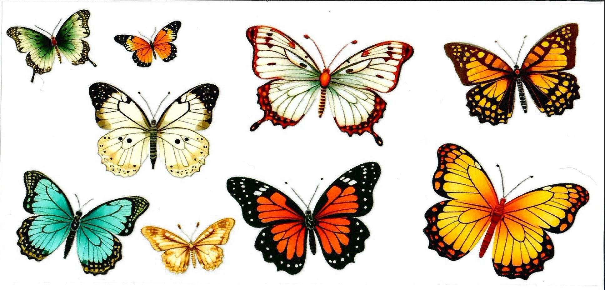 Butterflies