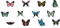 Butterflies