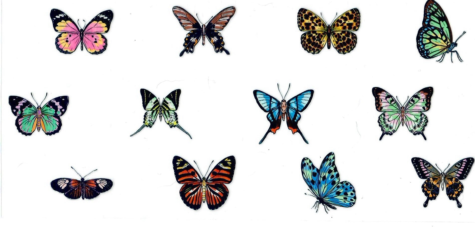 Butterflies