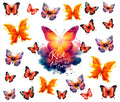 Butterflies