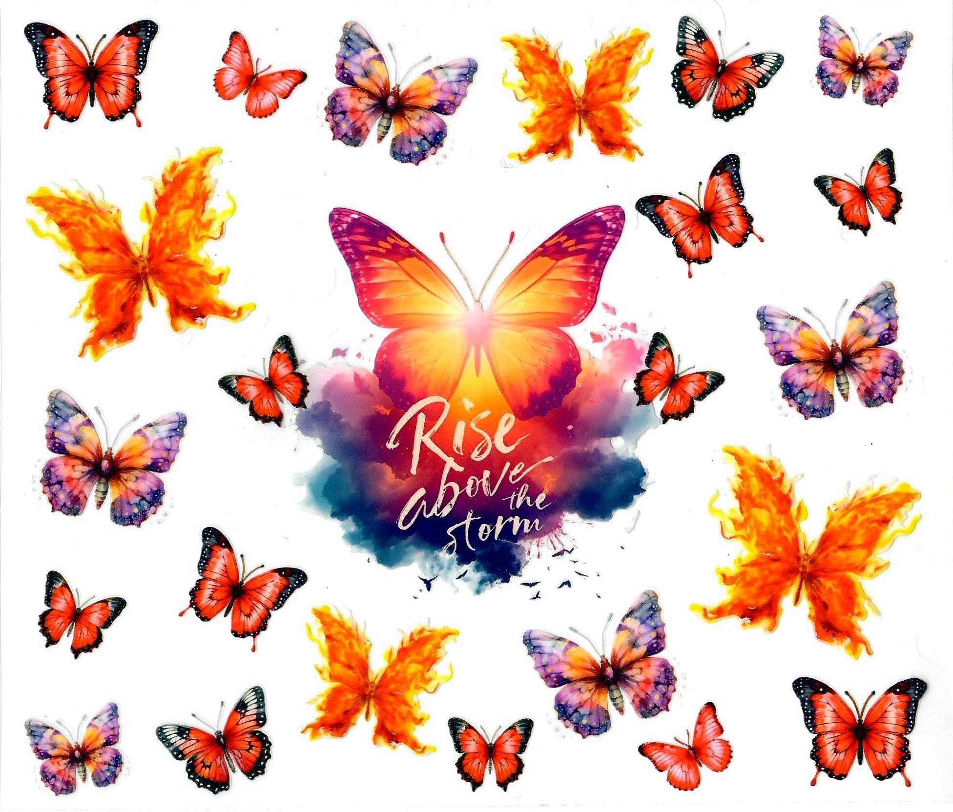 Butterflies