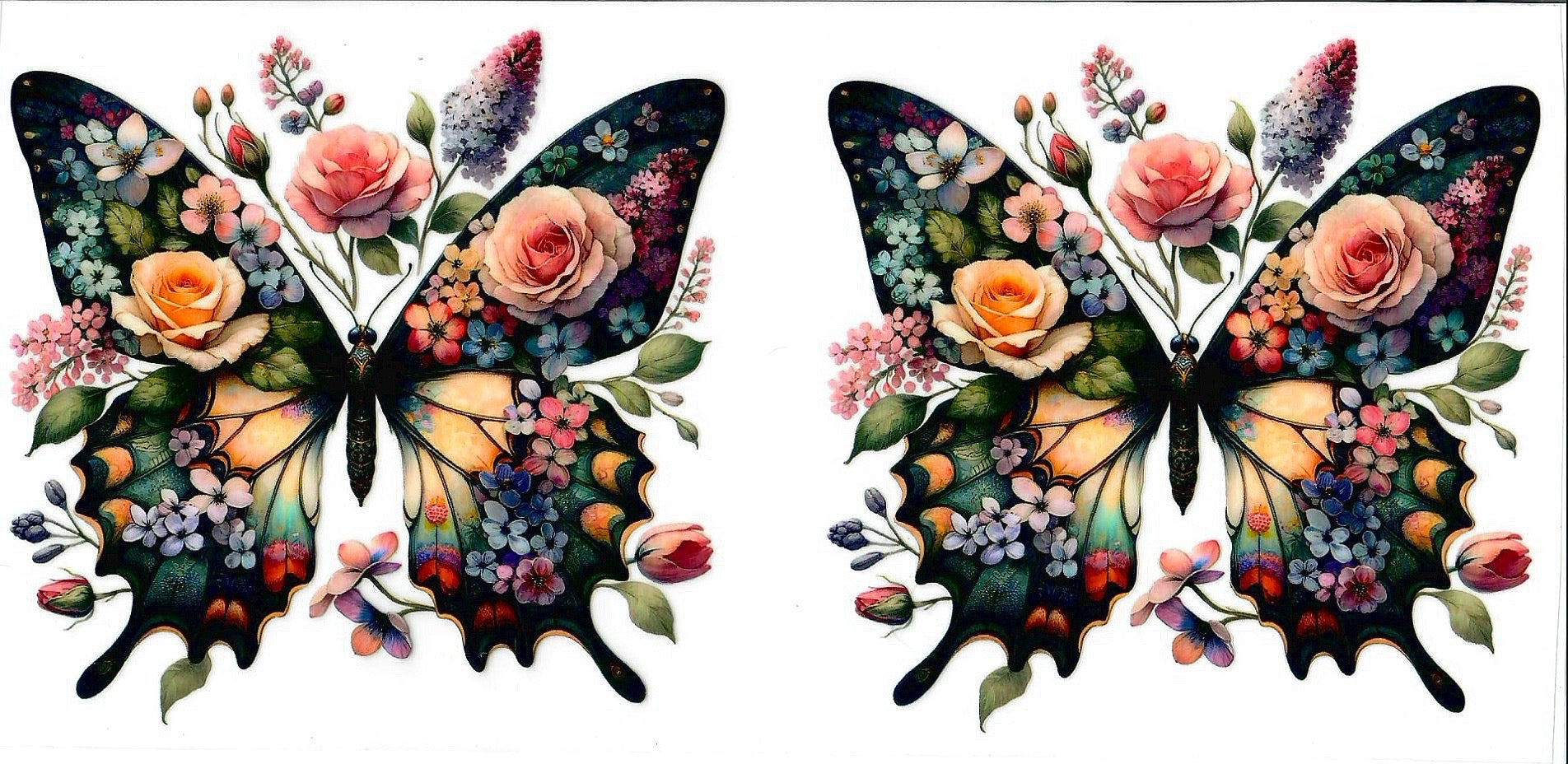 Butterflies