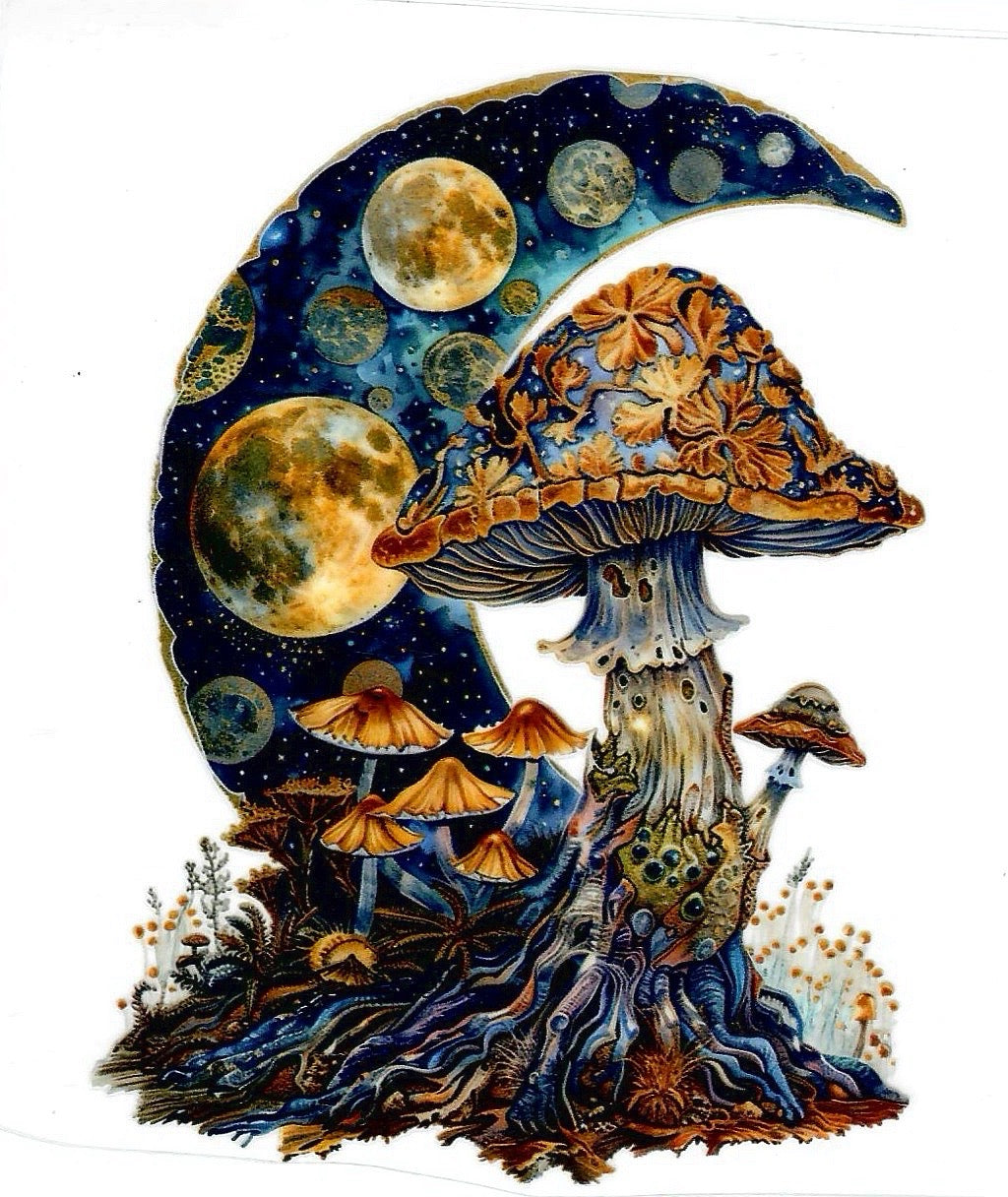 Moon mushrooms